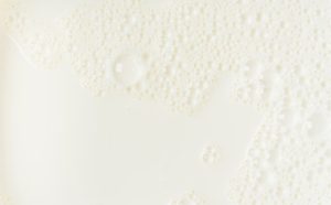 Entressafra e reajustes nos derivados fortalecem o mercado de leite spot 💰