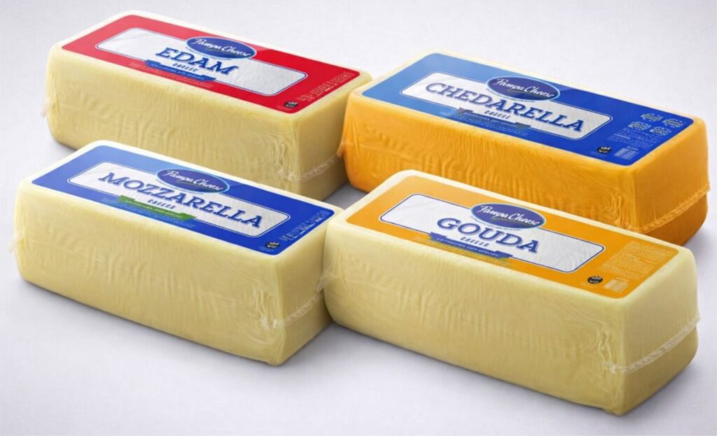 Com novos equipamentos e mercados abertos, Pampa Cheese acelera expansão e fortalece sua presença global. Pampa