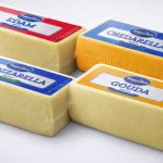 Com novos equipamentos e mercados abertos, Pampa Cheese acelera expansão e fortalece sua presença global. Pampa