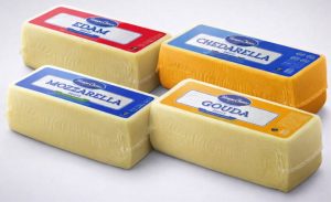 Com novos equipamentos e mercados abertos, Pampa Cheese acelera expansão e fortalece sua presença global. Pampa