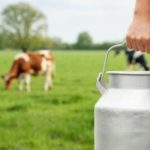 🥛 Produção de leite cresce 7,2%, mas renda cai 22,6% 1 Mesmo com recorde na produção de leite, o Brasil manteve déficit comercial de 2 bilhões de litros equivalentes 📉