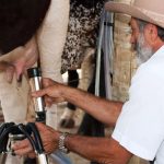 Preço do leite cai e pressiona margens no interior paulista ⚖️ Margem estreita limita investimentos e desafia a sustentabilidade produtiva em SP