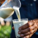 Rio Grande do Sul registra alta de 9,38% no preço do leite 📊 Avanço mensal reforça melhora nas condições de mercado no Rio Grande do Sul