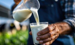 📊 Avanço mensal reforça melhora nas condições de mercado no Rio Grande do Sul