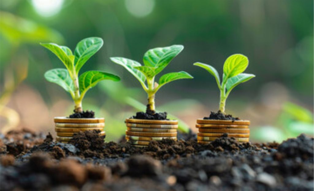 Captação de R$ 180 milhões dá fôlego financeiro ao Grupo Agronelli