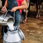 PL do leite mobiliza cadeia láctea por sanção presidencial 1 PL do leite. Regulamentação aprovada reforça proteção ao leite e pressiona por alinhamento da cadeia 🧾