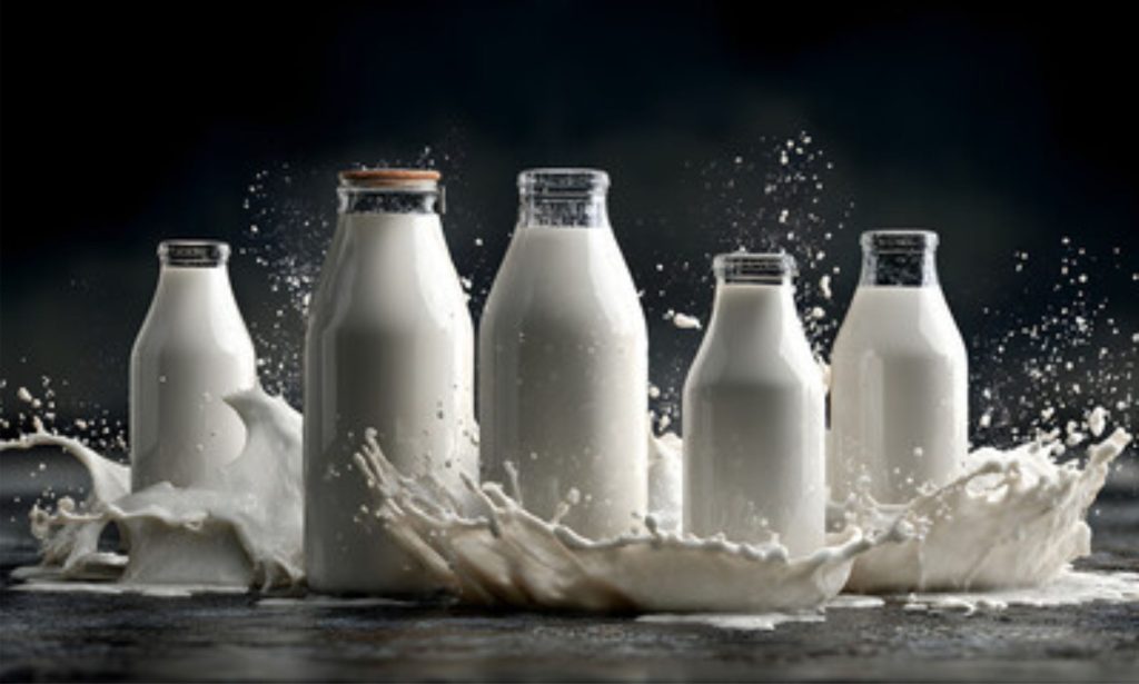 Pronampe 🌱 Programa oferece capital de giro, prazos ampliados e juros reduzidos para produtores de leite catarinenses.