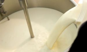 🌎 Fórum público-privado da cadeia do leite inicia novo ciclo com coordenação do Paraná e prioridade em exportações e sanidade.