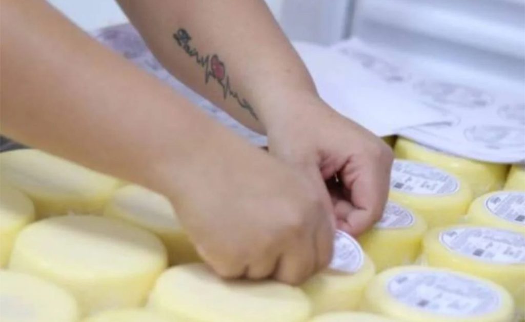Projeto estadual inclui produtores de leite e derivados e aposta em boas práticas de fabricação 🐄 Agroindústria