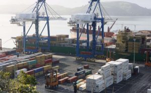 Custos sobem, mas mercado de lácteos segue equilibrado 📦