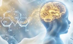 lactose. 🥛 O açúcar do leite participa da construção do sistema nervoso.