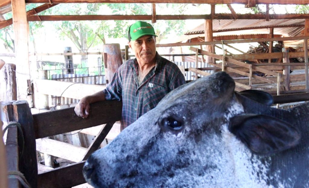 Produtor rural Valdir de Souza integra cadeia de fornecimento do PPAIS por meio de cooperativa. Foto: Divulgação Leite