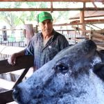 Produtor rural Valdir de Souza integra cadeia de fornecimento do PPAIS por meio de cooperativa. Foto: Divulgação Leite