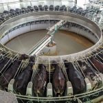 Preço do leite ao produtor sobe 5,43%, mas segue 25% abaixo preço do leite