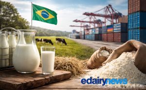 Regulação avança, mas dinâmica interna segue central para a rentabilidade.