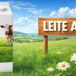 Leite A2 impulsiona mudança produtiva em MG e MT Leite A2