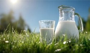 Mesmo com recuperação mensal, o preço do leite ainda não compensa perdas do produtor e revela um mercado em transição 📉