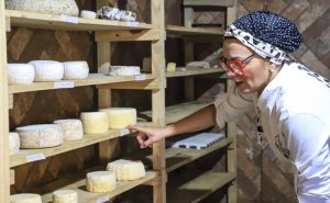 Entre milhares de concorrentes, queijo curitibano conquista jurados e amplia visibilidade do Brasil no mapa global.