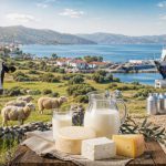 Surto de febre aftosa isola produção leiteira em ilha grega aftosa