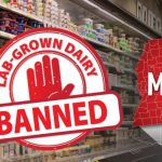 Mississippi proíbe lácteos cultivados em laboratório Mississippi
