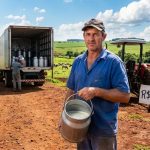 Leite longa vida sobe no Paraná, mas preço não chega ao produtor longa