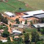 Colares inteligentes elevam produção de leite em SC Fazenda de Xanxerê se tornou referência nacional na produção de leite (Foto: Arquivo Pessoal, Divulgação)