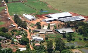 Fazenda de Xanxerê se tornou referência nacional na produção de leite (Foto: Arquivo Pessoal, Divulgação)
