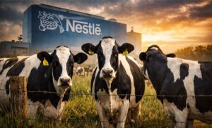 Programa orgânico é descontinuado e produtores perdem prêmio de valor construído ao longo dos anos 📉