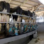 Remuneração do leite no Paraná tende a subir, diz Deral remuneração