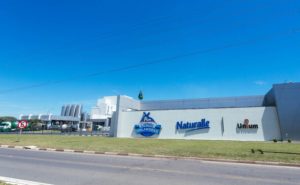 Estratégia da Unium integra produção e indústria para responder a oscilações entre queijo e leite em pó ⚖️