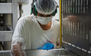 Etapa preliminar da recuperação judicial avança e mantém estabilidade na cadeia da Friolack 🔄