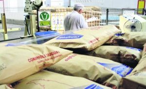 📊 Alta expressiva em março amplia envios e consolida o Brasil entre os principais mercados compradores