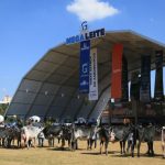 Megaleite projeta mais de R$ 300 milhões em negócios em MG Megaleite 2026 amplia número de leilões e reforça valorização da genética leiteira no Brasil 🐄