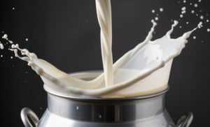 🥛 Cadeia leiteira de MS entra em nova fase com foco em eficiência produtiva e melhor aproveitamento industrial.