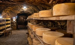 🏆 Queijo artesanal maturado em caverna ajuda fazenda de Goiás a conquistar prêmios e espaço fora do estado.