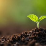 Agricultura regenerativa deixa discurso e entra na disputa por mercado 🌱 Indústrias ampliam exigências sobre fornecedores e transformam sustentabilidade em diferencial competitivo no varejo alimentar.