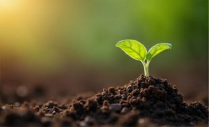 🌱 Indústrias ampliam exigências sobre fornecedores e transformam sustentabilidade em diferencial competitivo no varejo alimentar.