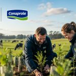 Nestlé-Conaprole: o contrato invisível do novo leite Conaprole