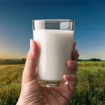 Estado brasileiro não se importa com redução de produtores de leite, diz Conseleite Conforme dados do IBGE e da Embrapa, a atividade leiteira está presente em mais de um milhão de propriedades rurais brasileiras, especialmente na agricultura familiar.