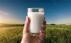 Conforme dados do IBGE e da Embrapa, a atividade leiteira está presente em mais de um milhão de propriedades rurais brasileiras, especialmente na agricultura familiar.