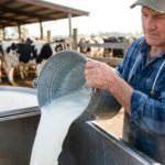 Leite ganha valor no campo enquanto importações avançam no Paraná Menor captação e custos de alimentação impulsionam preço do leite no Paraná 📈