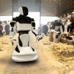 IA na pecuária leiteira avança com foco na individualização pecuária