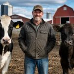 Beef-on-dairy já ocupa até 40% dos confinamentos nos EUA beef-on-dairy