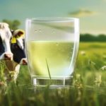 Estudo identifica origem de 85% das emissões na cadeia do whey whey