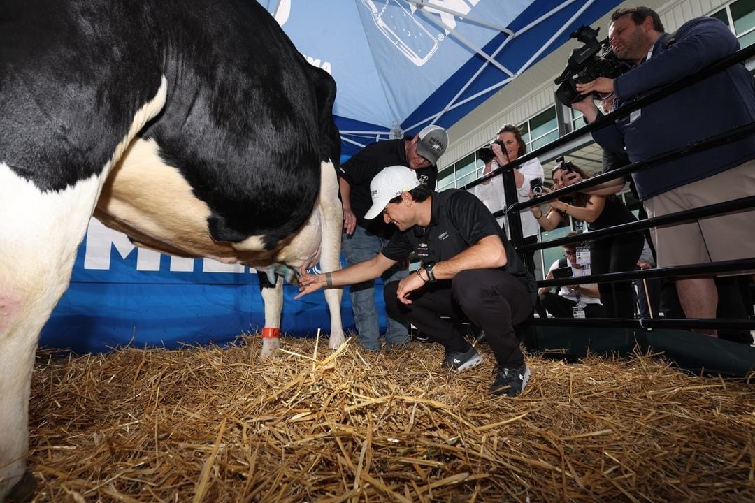 Indy 500: A corrida mais famosa dos EUA segue celebrando com leite Título: Caio Collet participa de tradição dos novatos para 500 Milhas
