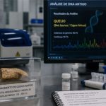 Por que enterraram queijo com múmias? A ciência encontrou a resposta Descoberta em tumbas da Idade do Bronze mostra que técnicas avançadas de fermentação já eram dominadas há mais de 3 mil anos. 🧀