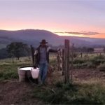 Queijo artesanal em Alexânia ganha escala com assistência técnica Produção de queijo artesanal em Alexânia salta de 25 para 70 kg com apoio técnico do Senar 🧀