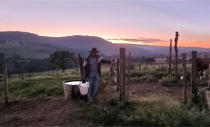 Produção de queijo artesanal em Alexânia salta de 25 para 70 kg com apoio técnico do Senar 🧀