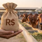 Crédito para produtores de leite movimenta R$ 108 milhões em 90 dias em SC Crédito
