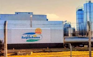 Suipachense